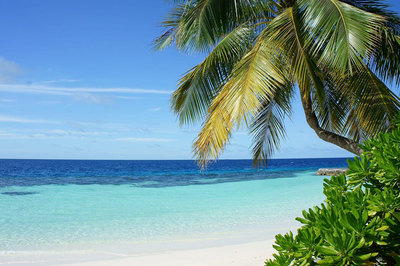 Beach maldives